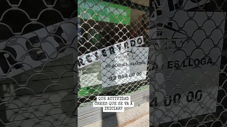 Guía para Comprar Arte Local en Palau-solità i Plegamans